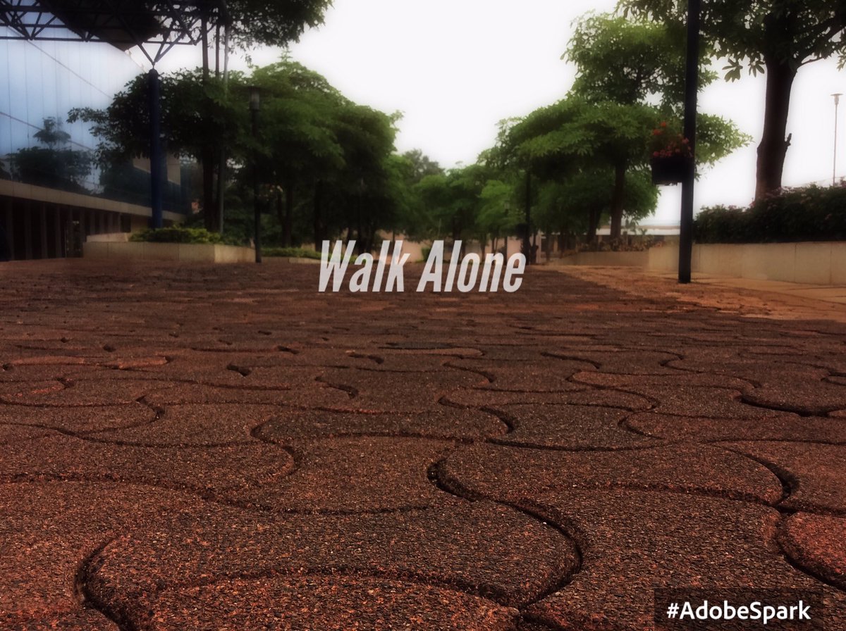 Kapil_S_Joshi's tweet photo. The road to success has a lot of ups & down, people will not support you, only you will have to WALK ALONE #KASlogs https://t.co/7NxyEPmVJD