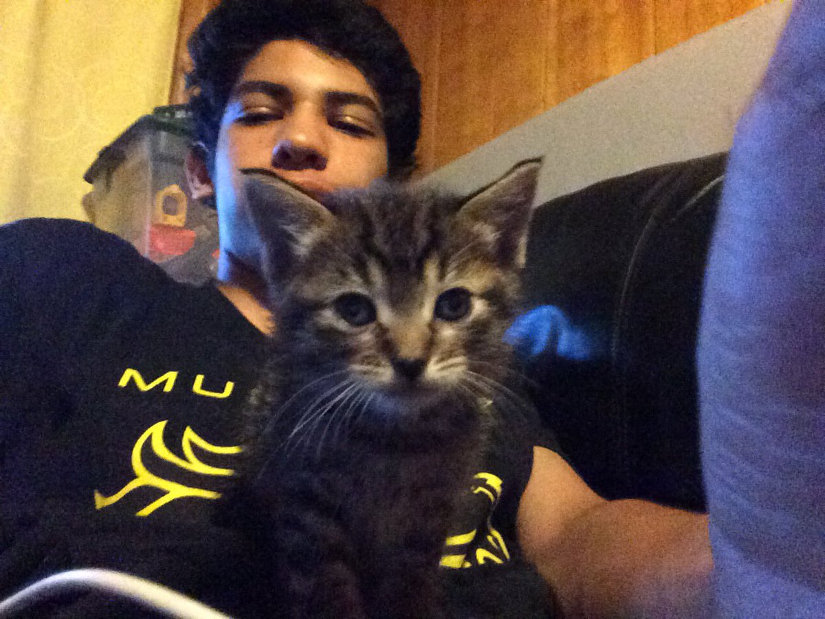 Saigonsandwitch's tweet photo. #HugYourBattleCat https://t.co/hjMlluZGP5