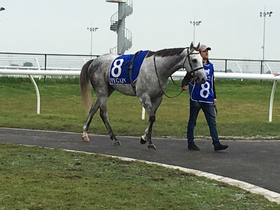 Amy Yargi (@yargiamy) on Twitter photo Candeo put his best hoof forward @PakenhamRacing running 3rd in a BM70. Well ridden by <a href="/daniel_moor/">Daniel Moor</a> <a href="/craigrockmount/">Craig O'Donnell</a> Candeo put his best hoof forward @PakenhamRacing running 3rd in a BM70. Well ridden by <a href="/daniel_moor/">Daniel Moor</a> <a href="/craigrockmount/">Craig O'Donnell</a>