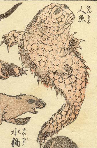 北斎が描いた人魚。ちゃんと「人魚」と書いてはいますが、人魚という