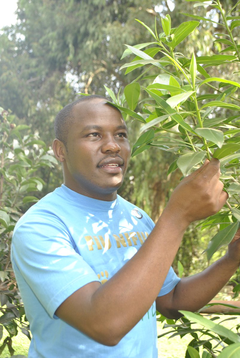 Karura Karura tweet media