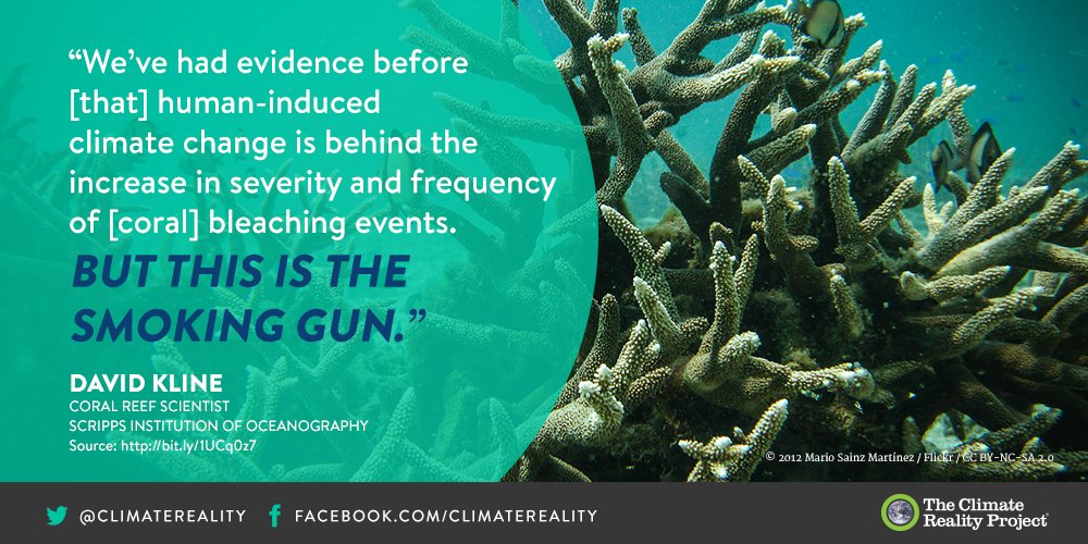 ClimateReality's tweet photo. The Great Barrier Reef is in big trouble – and climate change is to blame https://t.co/yPiSewKvZ5 https://t.co/MufMfGpe6e