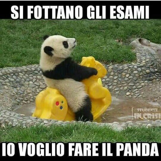 annadegiuli07's tweet photo. Questo è il mood😂😂 #esami https://t.co/3GR7ZE7VlP