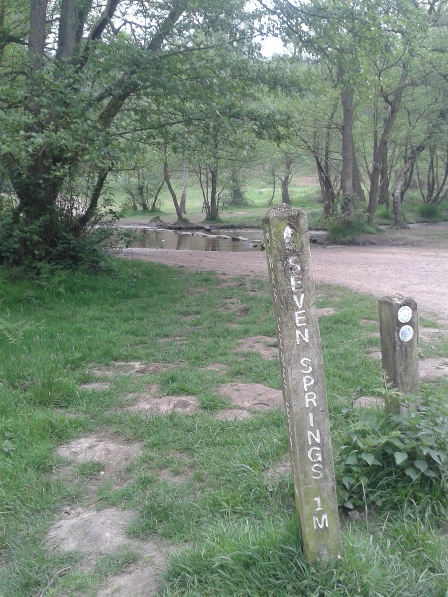 michael bamber tweet media