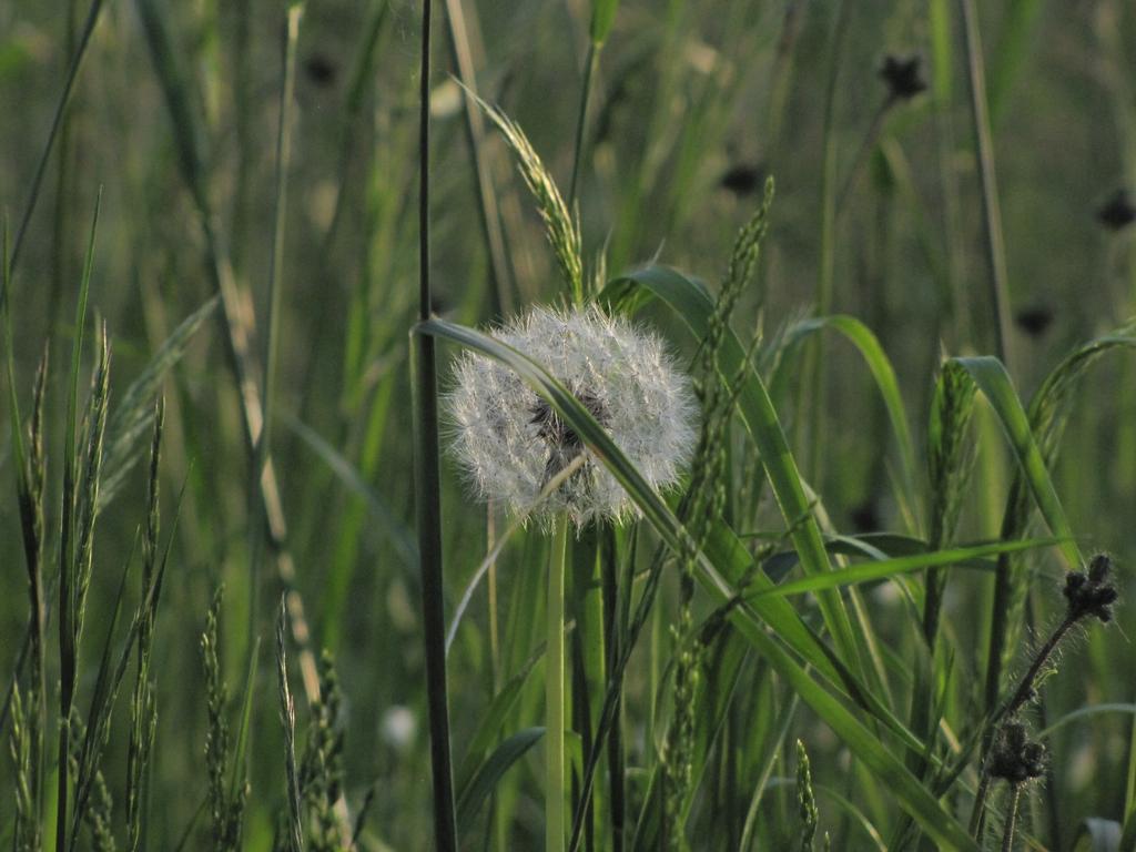 Vojta Novak (@lookforcz) on Twitter photo 