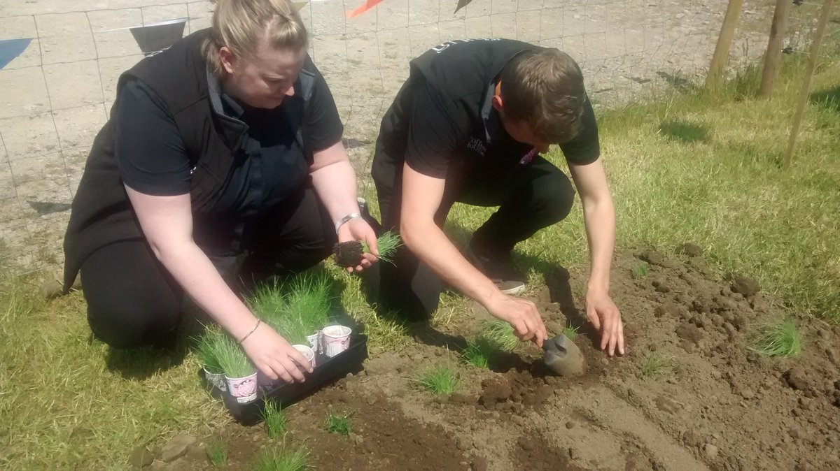 parkerpannell's tweet photo. @diamond_kitchen planting out their #pasturepot - any @GeniUSSheffield challengers? https://t.co/zYIOPMEnvQ