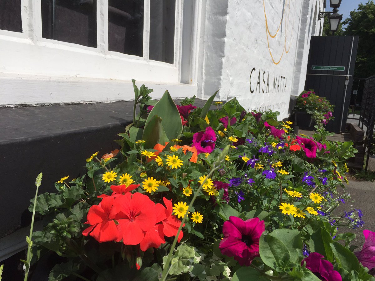 hellofromlomax's tweet image. Looking good! @NewMoonCo @CasaMattaPizza @TheLordBinning @MontgomeryPub