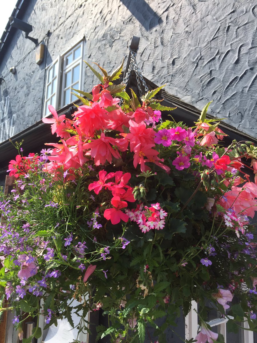 hellofromlomax's tweet image. Looking good! @NewMoonCo @CasaMattaPizza @TheLordBinning @MontgomeryPub