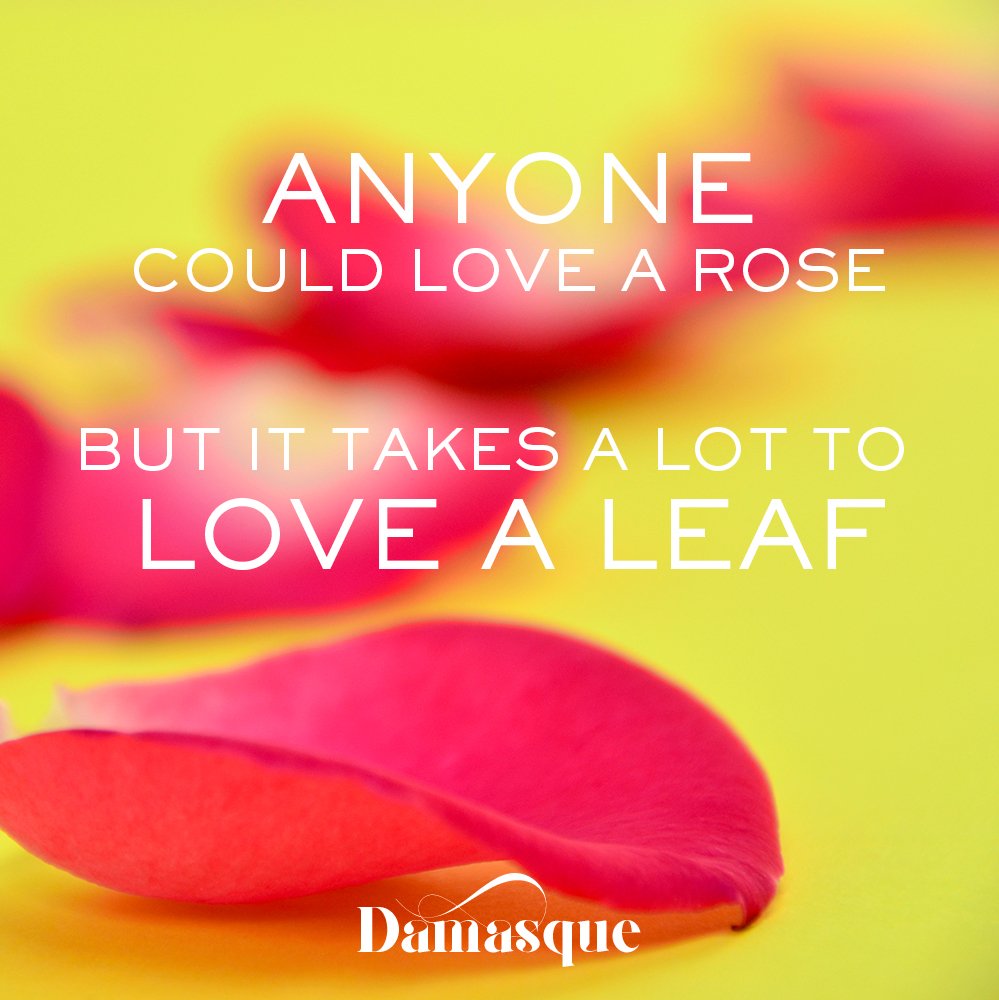Love those who makes your life beautiful, not what is beautiful.
#scentedroses #inspiration #Damasque