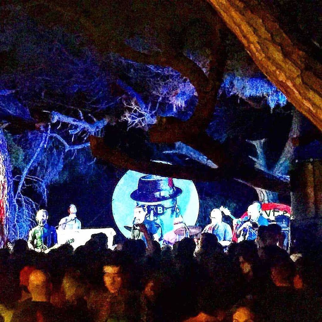 THEBLUEBEATERS's tweet image. Vampire Sounds. #thebluebeaters #lagoverde #scratchingsounds #ska #nature #intheforest #live #music #everybodyknows…