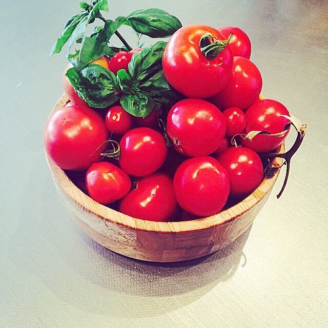 range_nz's tweet image. Tomatoes #chefsgarden #homegrown