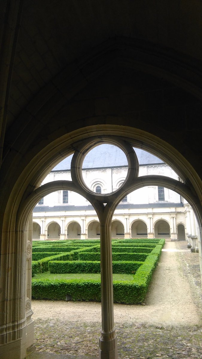 rader dominique tweet media