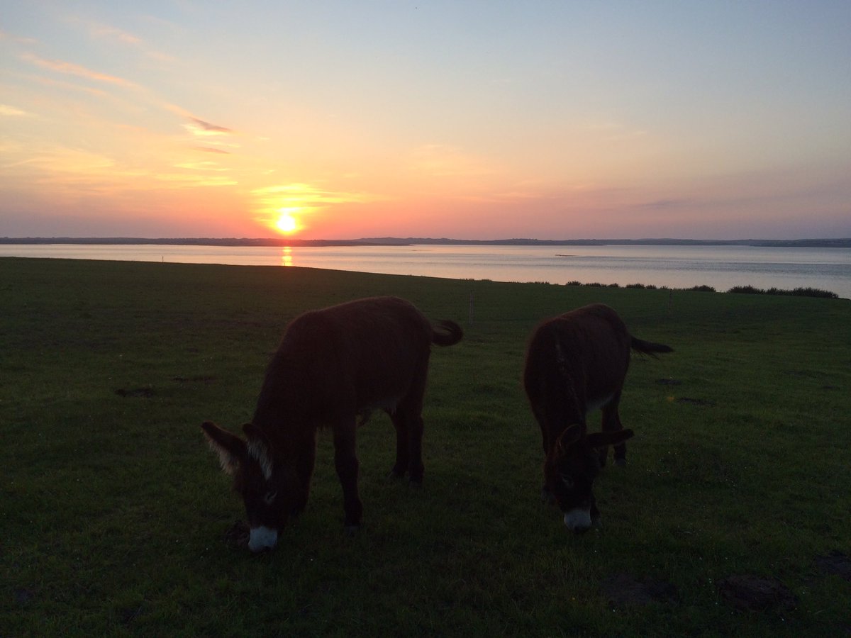 Belmullet CGS tweet media