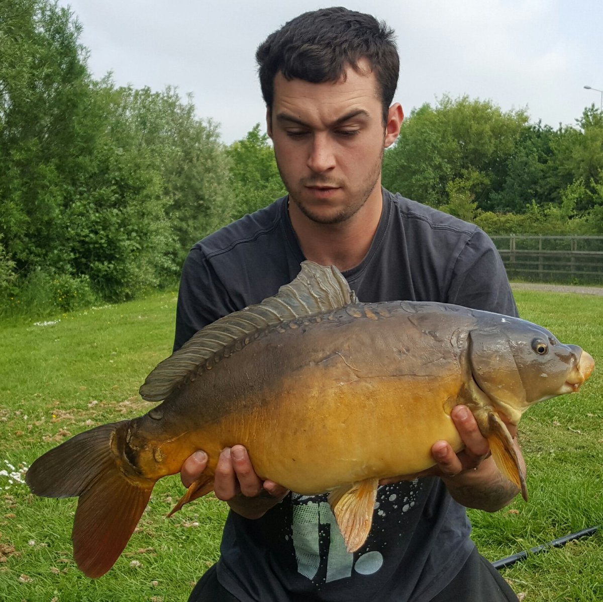 luke mrvik (@lukemrvik) on Twitter photo 