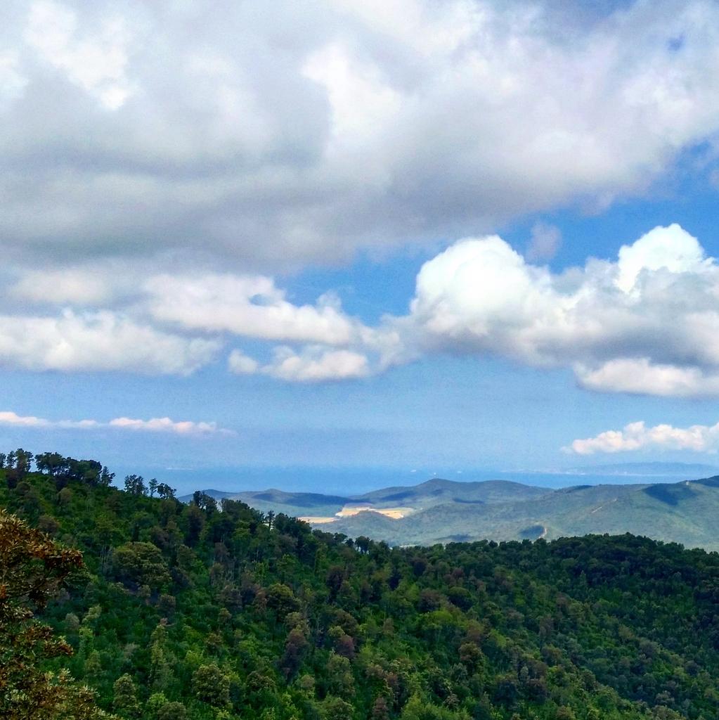 Grazie di cuore a Emilio e tutti gli amici de #LaLuna. Week end magnifico. #Tirli
#sempresulavia #Toscana #Maremna