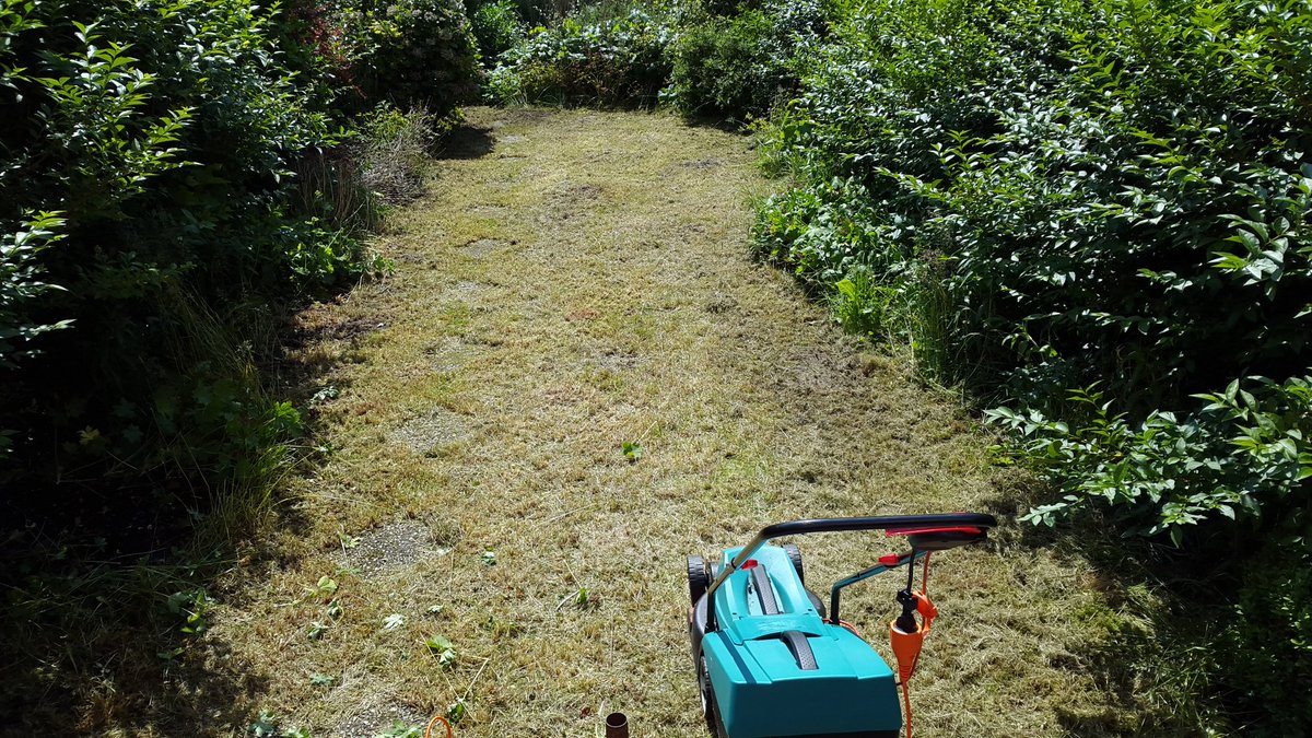 Ik heb zojuist een tuin vermoord. .. Hele insectenstammen hate my guts nu