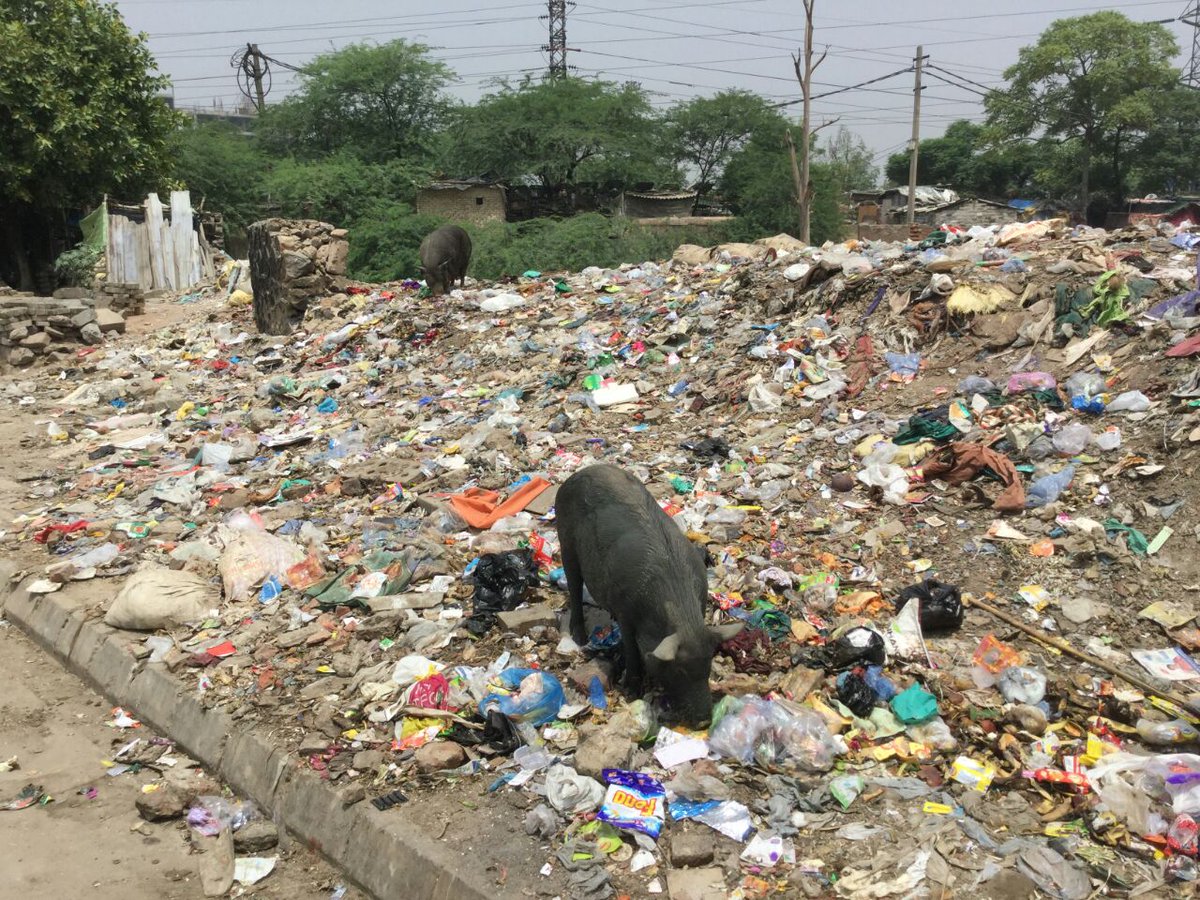 SatyendarJain's tweet photo. 267 notices under crpc sec133 issued to MCD's  yesterday for unsatisfactory sainetory conditions. https://t.co/wmEQe2Q0Vj
