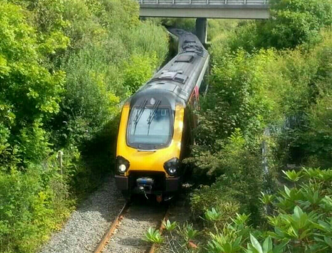 Prorail5's tweet image. A branch line in every sense of the word