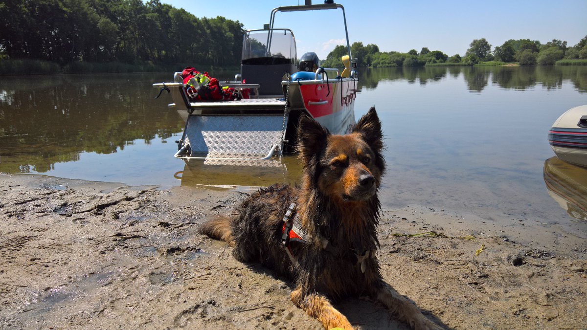 Gemeinsame Übung DLRG Pinneberg und RHS Kreis Pinneberg am Wolnisee.