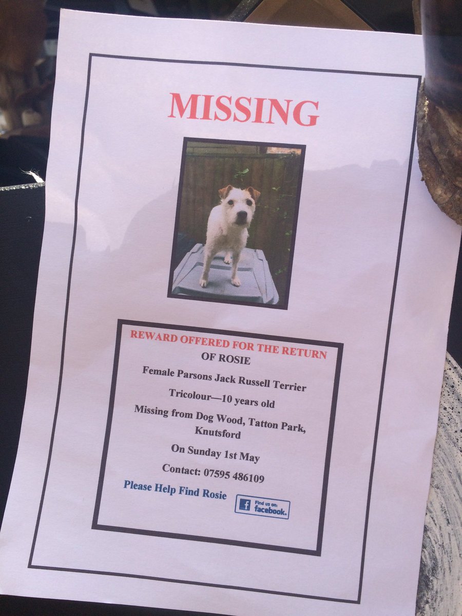 Missing In Knutsford PLEASE RETWEET See if we can get here home🙏🏻 #knutsford #tattonpark <a href="/tattonpark/">Laura Croke</a> <a href="/_makersmarket/">Makers Market</a>