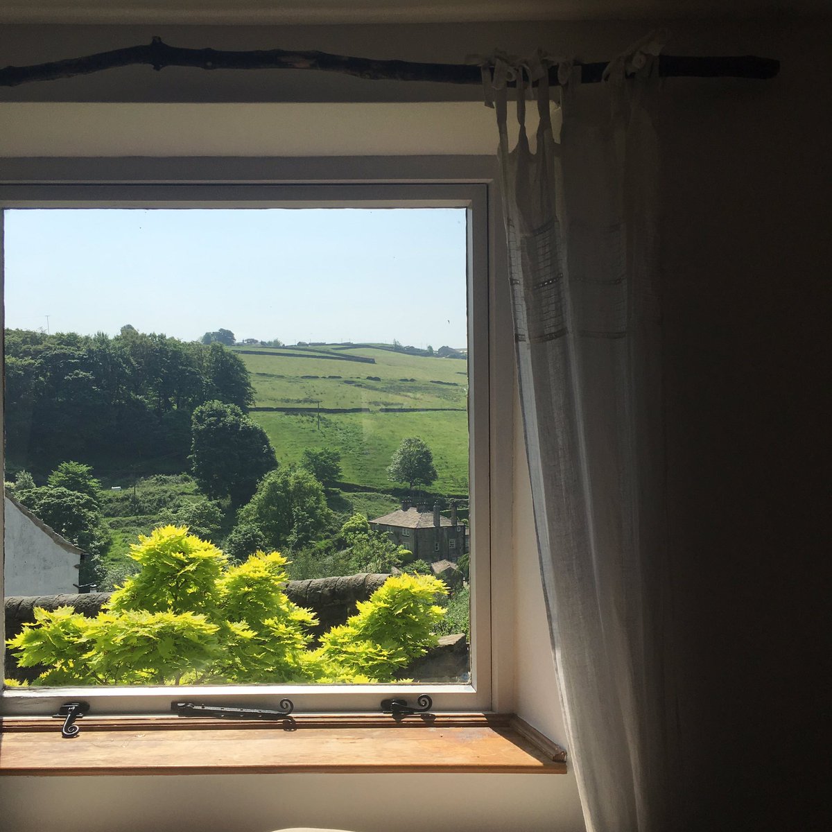 meandorla's tweet photo. Sitting on the window ledge, drinking tea &amp; letting the sun dry my hair. #InsteadOfWorking https://t.co/m9NIFzTWCT