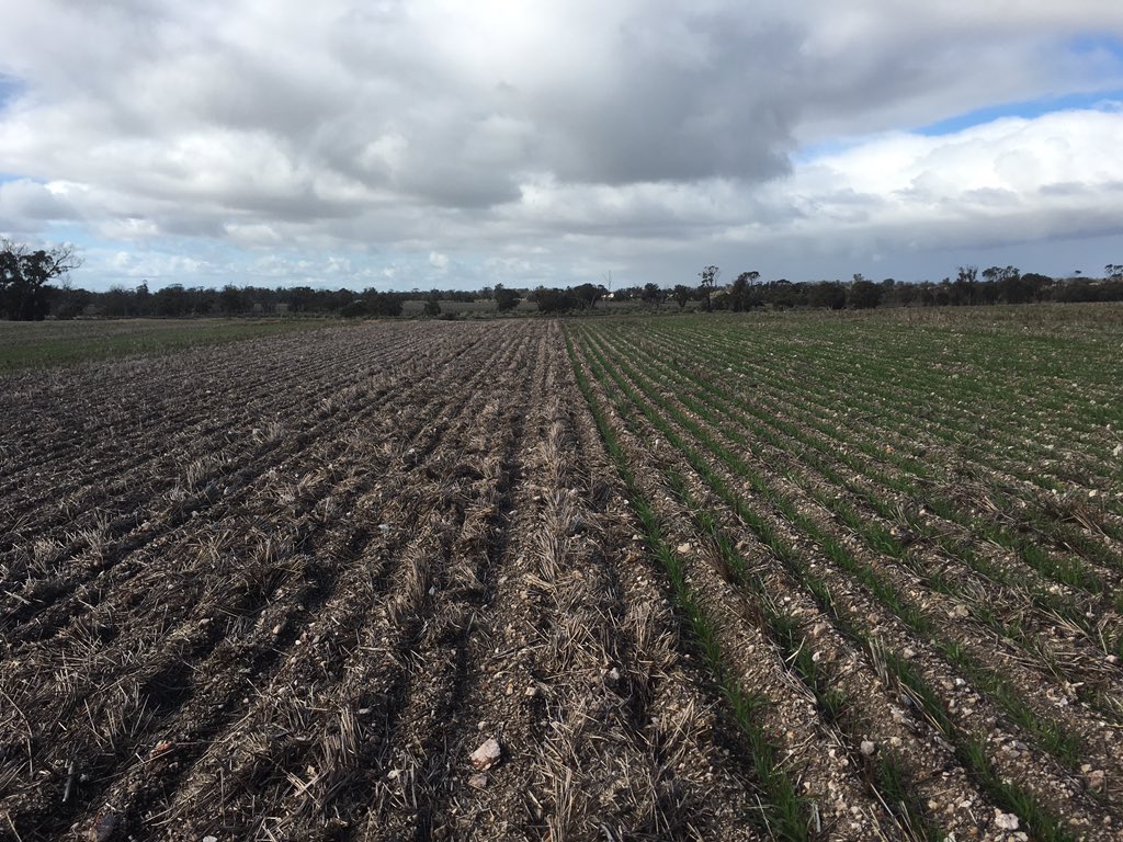 marlofarm1's tweet photo. Phase one #2016seeding finished. Phase two starts tomorrow. https://t.co/VgzOkCWBBn