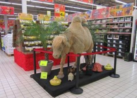 - On met quoi pr le truc là, le ramadan
- jsais ps, 1 Chameau ?
- Ouai 1 chameau avc ds tajines 
- et des palmiers !