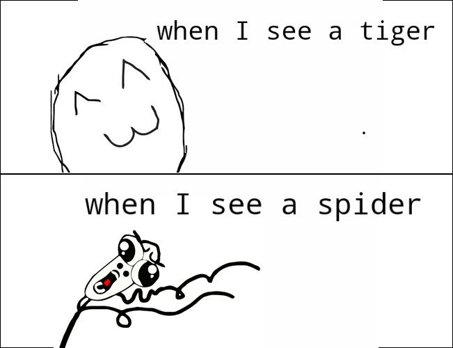 tiny_humor's tweet image. My #life ! .. 😂

#cute #animal #funny #comics #rage #fun #joke #meme #gamedev @shoutrts @dnr_crew @famerts @nightrts