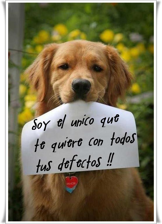 Canal Animal tweet media