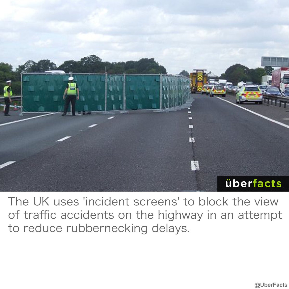 UberFacts's tweet image. Smart.