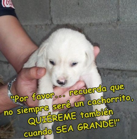 Canal Animal tweet media