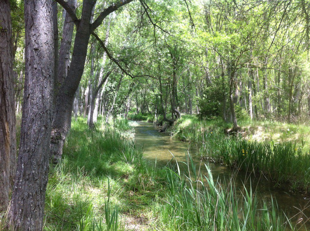 IngForestal50's tweet photo. Celebramos el #DiaMundialDelMedioAmbiente caminando por el PN barranco del río Dulce #RedForesta2016 https://t.co/qecQWEGLir