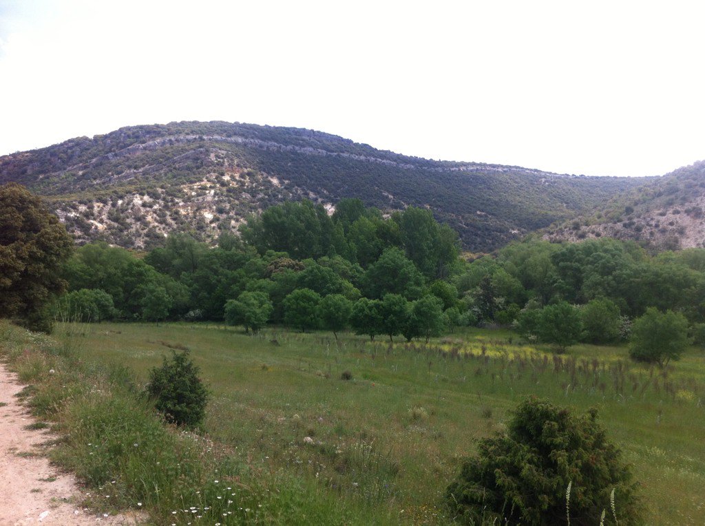 IngForestal50's tweet photo. Celebramos el #DiaMundialDelMedioAmbiente caminando por el PN barranco del río Dulce #RedForesta2016 https://t.co/qecQWEGLir