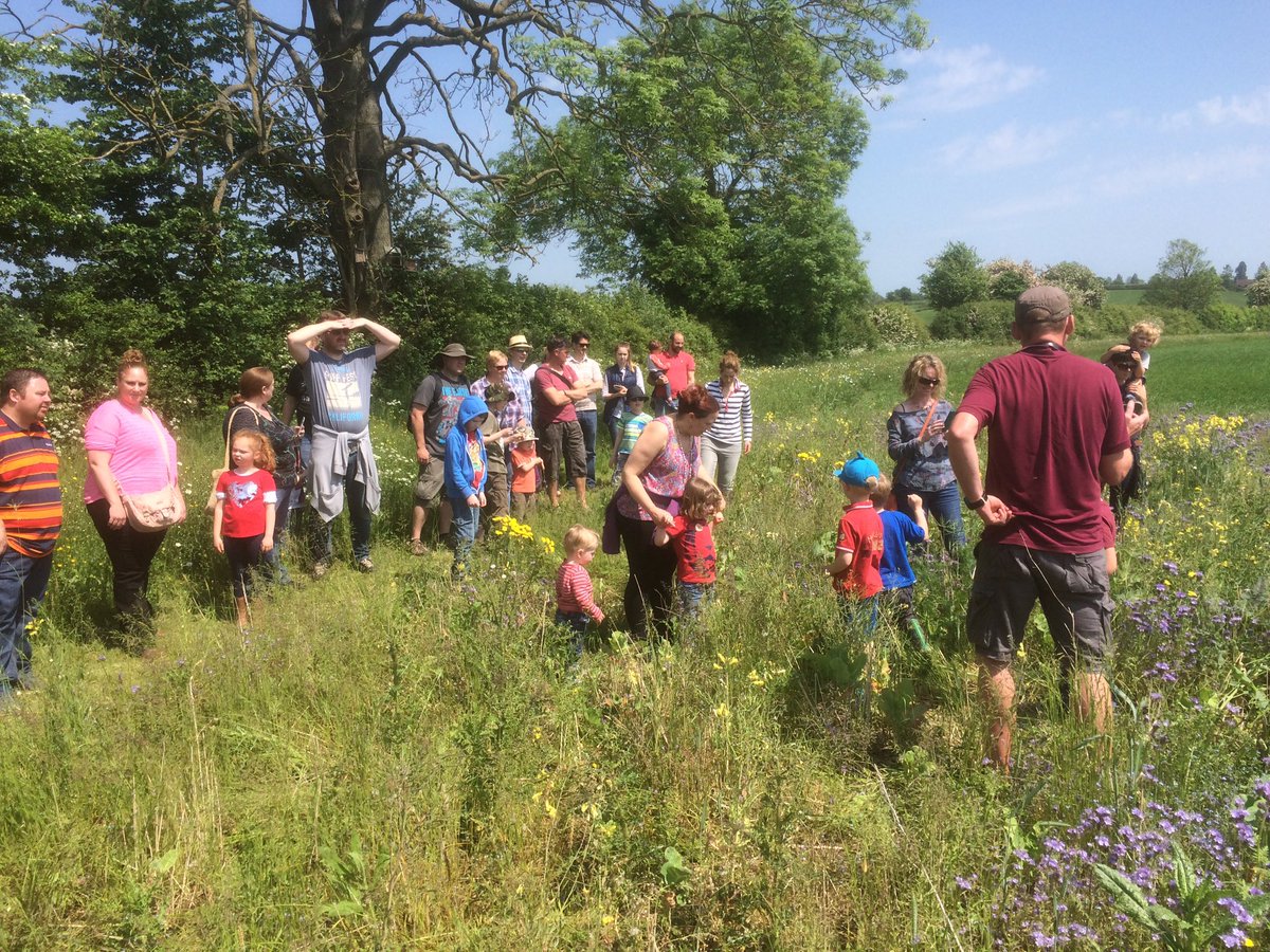 Greg_Outdoors's tweet photo. #OpenFarmSunday on the farm tour looking at the wild bird strips @hillfarmhugh https://t.co/c80RHDghEi