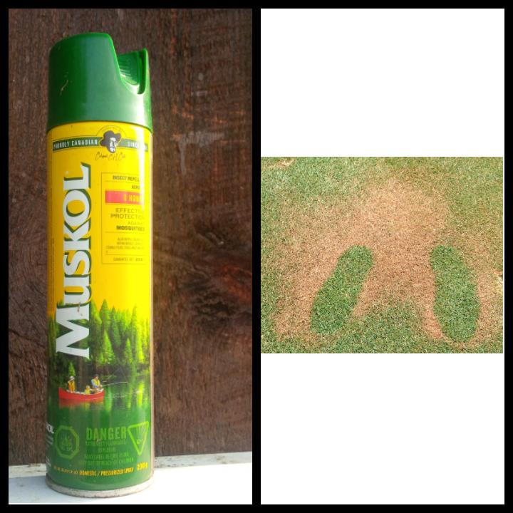 Please remember to apply insect repellent on the cart paths and not on turf. The grass thanks you.