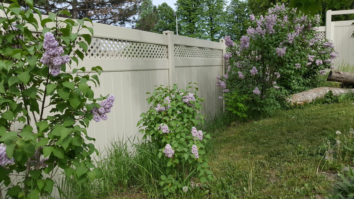 FenceMastersOtt's tweet image. This tan PVC Mighty Fence looks great with the surrounding plants and requires no maintenance. Call #FENCEMasters