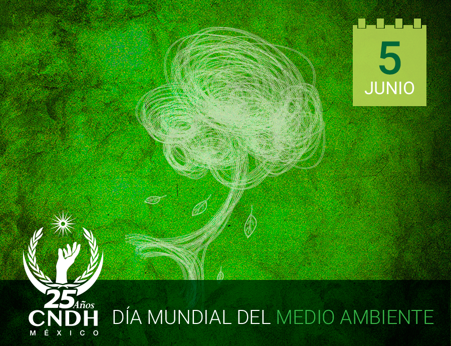 CNDH en México tweet media