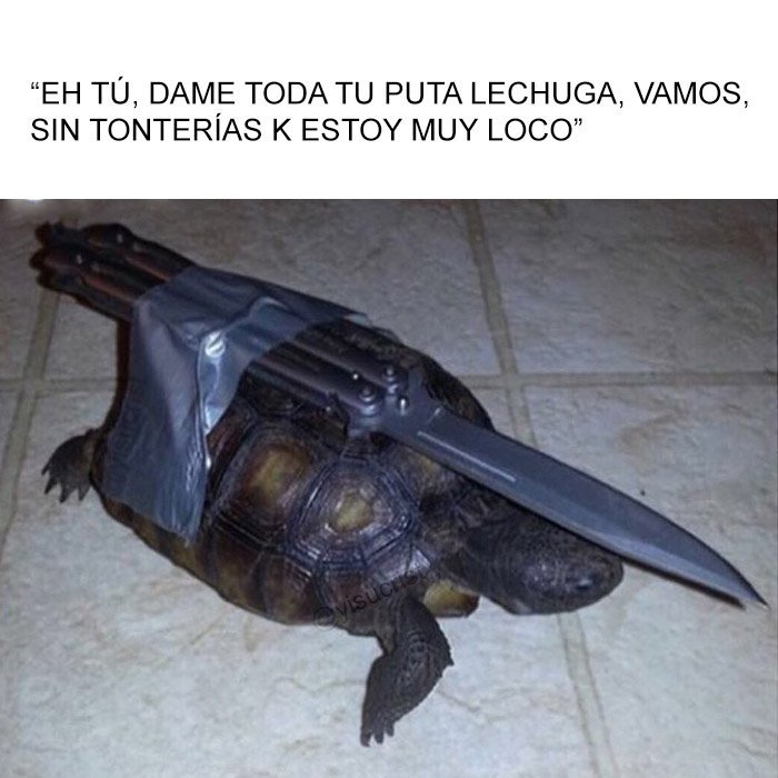jezucrihto xd tweet media