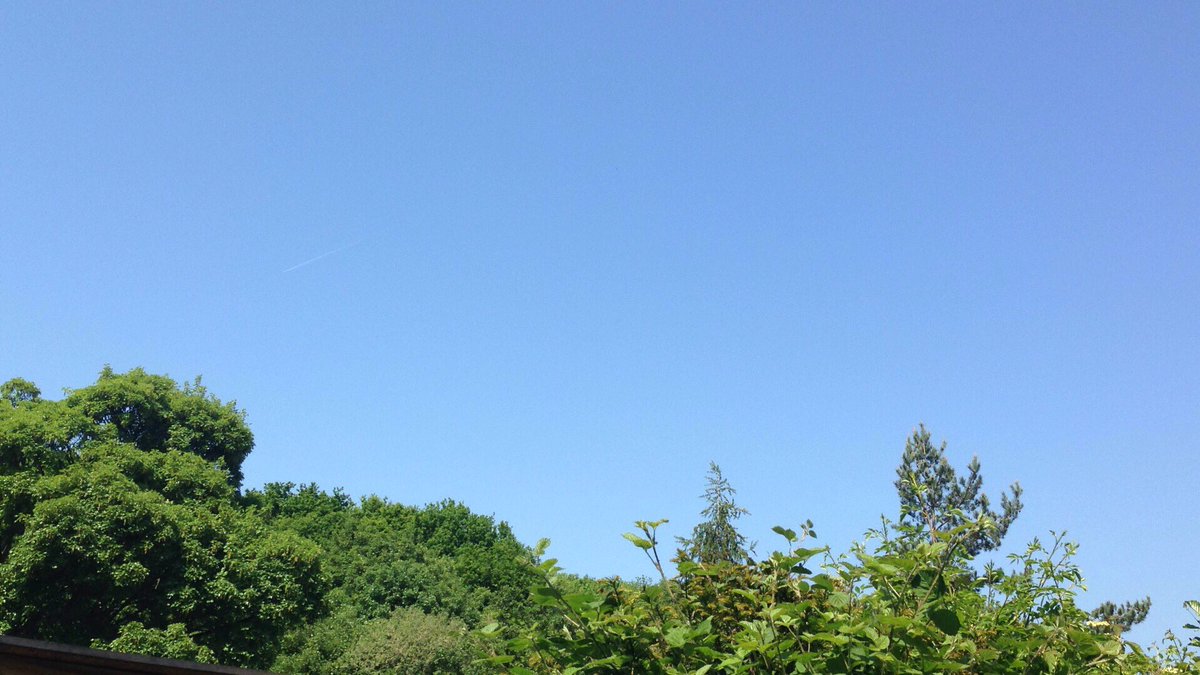 CodandCockle's tweet image. 👍❤️☀️ #sunnysheffield #summer #Sheffield bbq anyone?
