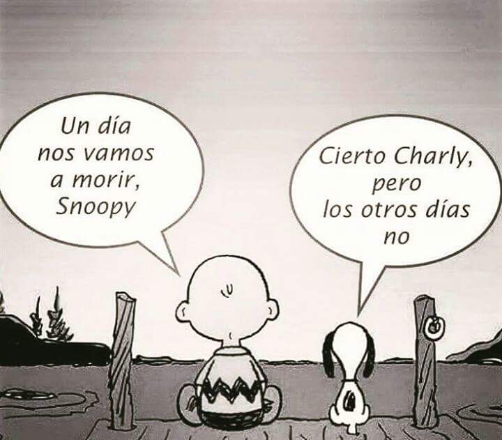 mariaacampon's tweet photo. https://t.co/VYbAtTzOu7