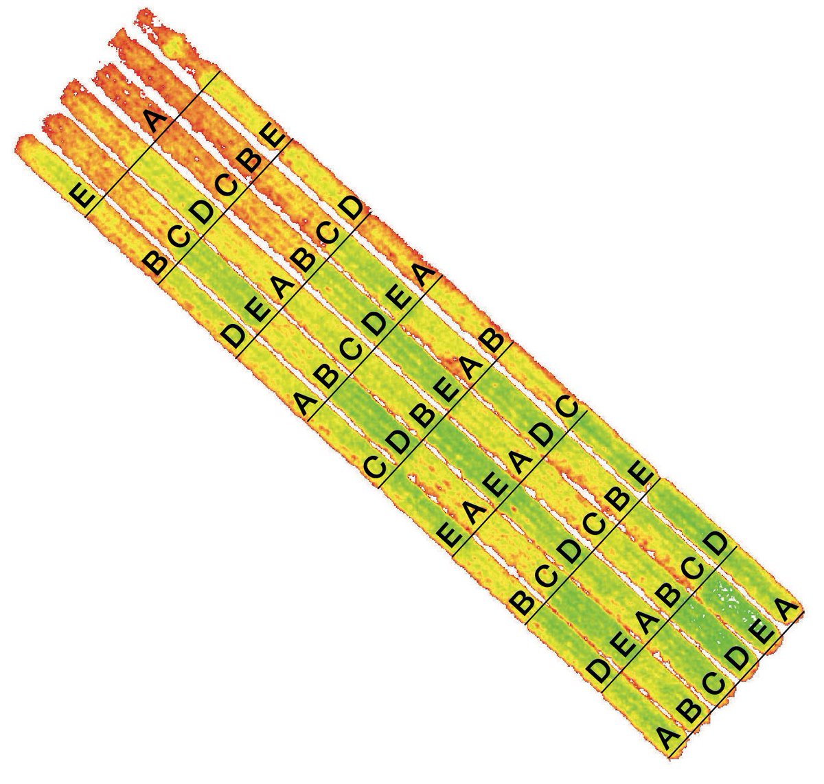 Een (on)zichtbaar tekort kan voor de plant leiden tot stress, kwaliteits-&amp;opbrengstverlies. facebook.com/plantcoaching/…