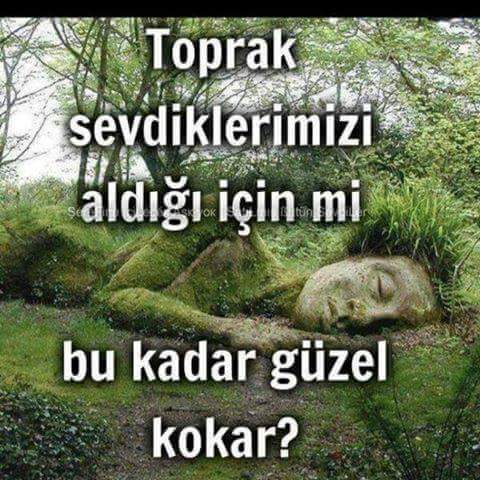 atar_gl's tweet photo. Guzellll https://t.co/rqzLTQ6l30