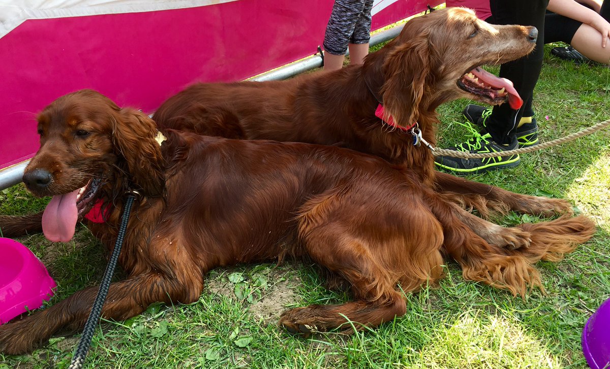 My boys ran 5K for breast cancer research
#raceforlife