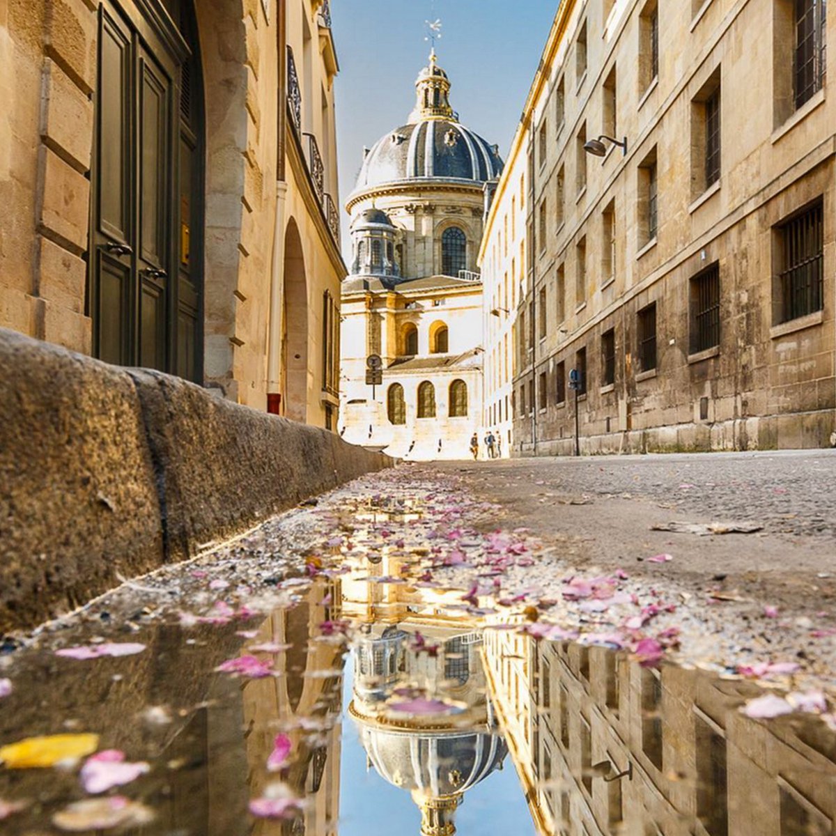 Take a mental trip to paris when visiting Maison Blanc and dream about petal filled streets and croissants.