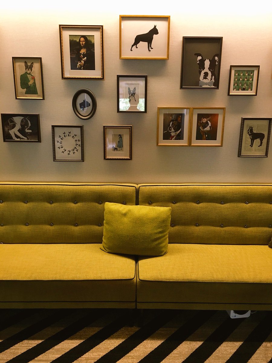 BostonTweet's tweet photo. An homage to the Boston Terrier (go BU!) at the @HotelCommonwlth. Time to move out :( https://t.co/g8is58rgNT