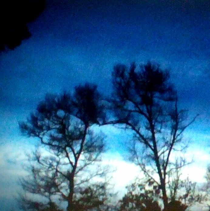 Selknirps's tweet image. Lazy Sunday. #shareApic #Blue #trees