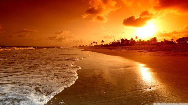 ChiIIVlbes's tweet photo. i'd rather wake up here  😍🌴 https://t.co/4a6RL5bBqt
