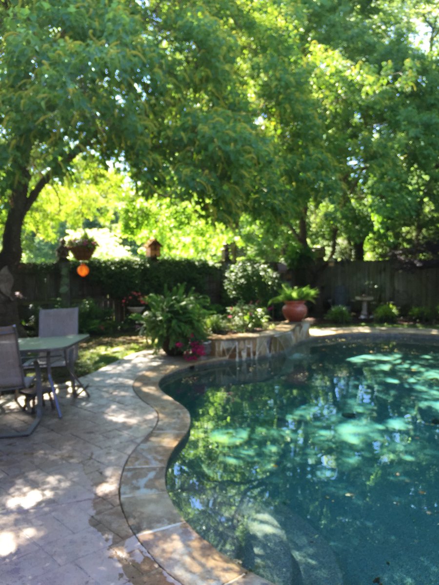 txmullberry's tweet photo. Finally.... Summer! ❤️ https://t.co/q33oJgolgM
