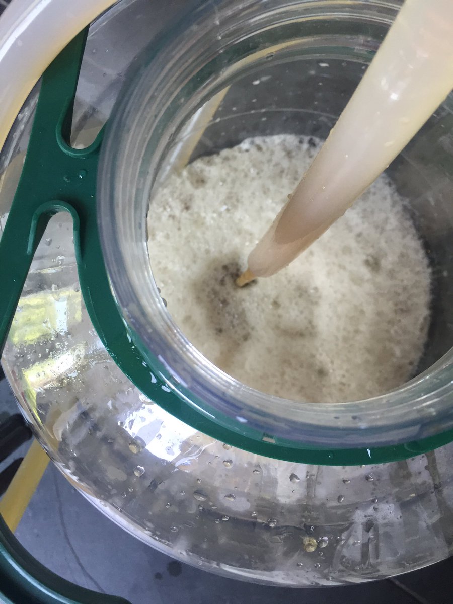 jakeberger's tweet photo. The beer making process with @nicbilham in Brockley. https://t.co/1CPGyko3X6