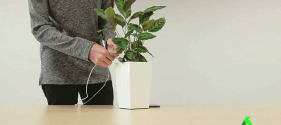 sextaNoticias's tweet photo. Cargar un smartphone, calentar una ducha… los nuevos y múltiples usos de una planta ▶ https://t.co/YP7prH0L6V https://t.co/MvmyoBmBZE